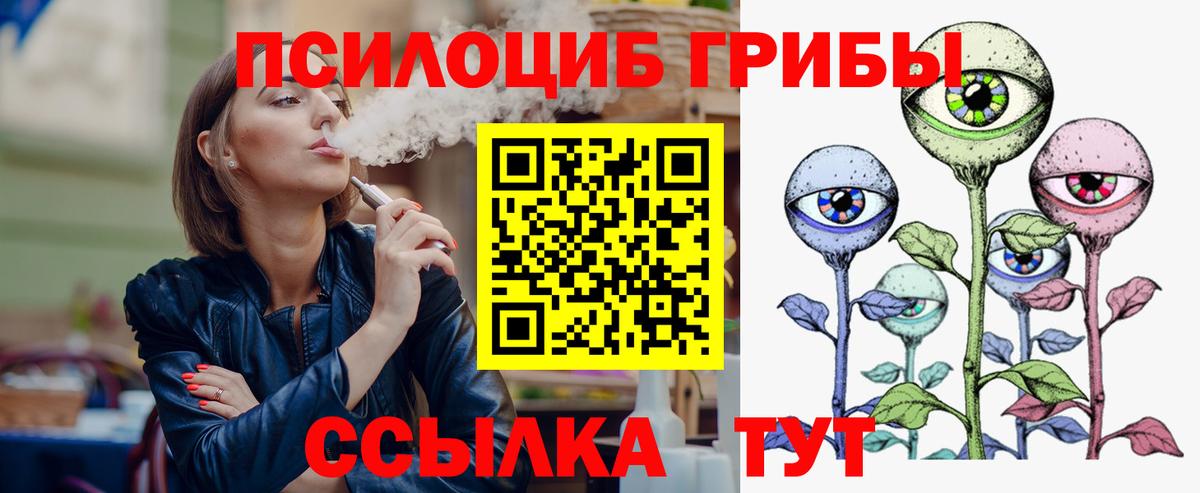 Звенигород  Галлюциногенные грибы MAGIC MUSHROOMS  Вход с VPN 